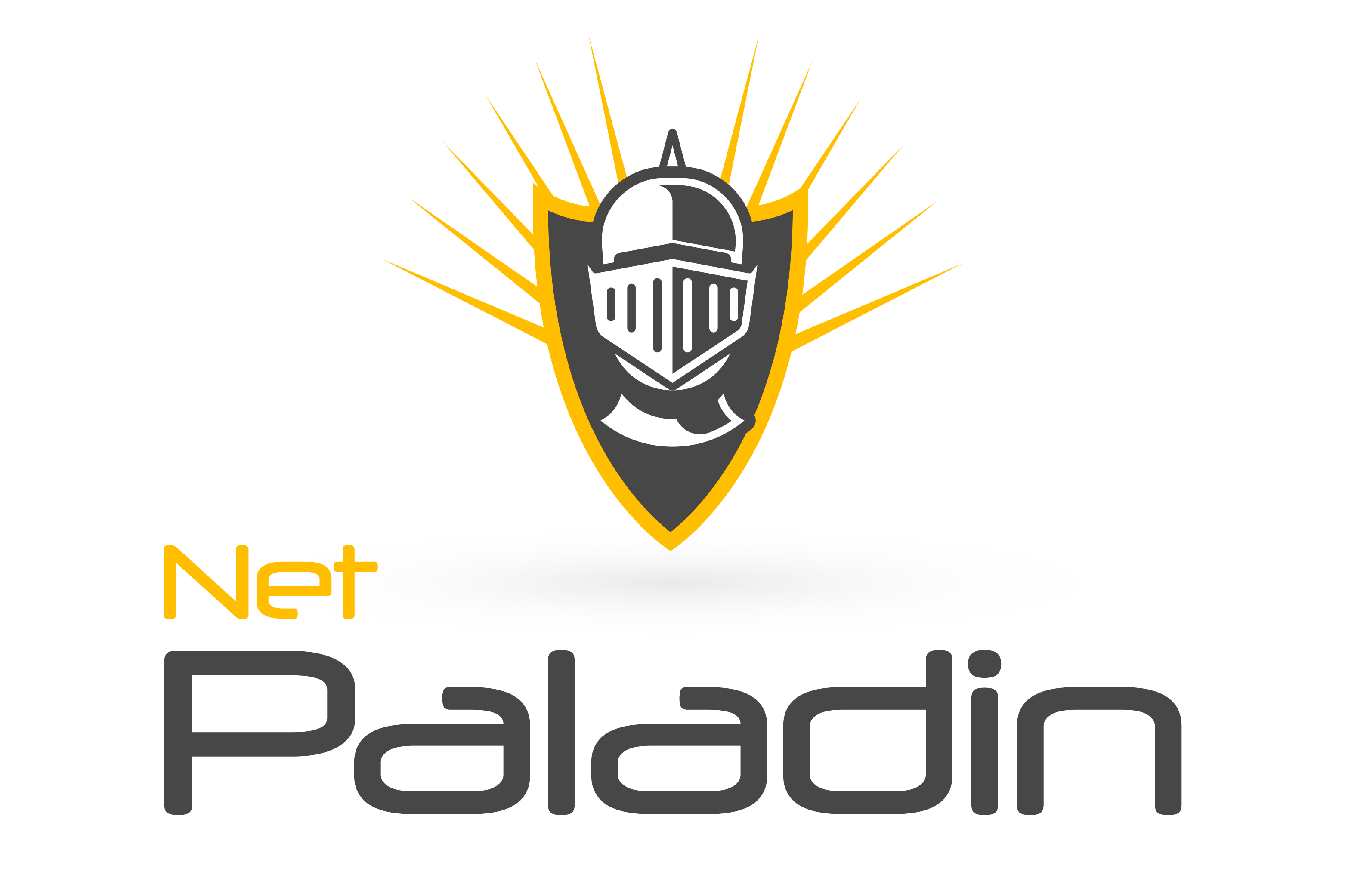 Net Paladin